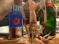 -斯普汇生蚝牛排馆(中骏世界城店)