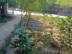 -世间香境·七溪地