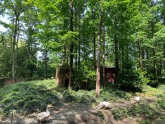 -昆山城市生态森林公园