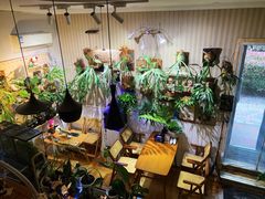 -Rabbit Cafe私房西餐甜点咖啡(栖霞路店)