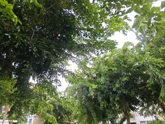 -万达影城IMAX(海口日月广场店)