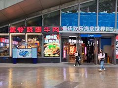 -重庆欢乐海底世界