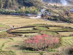 -靖西鹅泉风景区