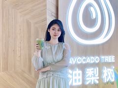 -油梨树AVOCADO TREE(嘉里中心店)