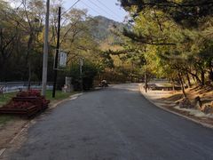 -金龙寺国家森林公园