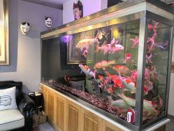 -雕哥的纹身店A3 TATTOO&纹身培训