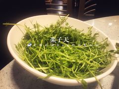 豆苗-烹然四季椰子鸡火锅(团结湖总店)