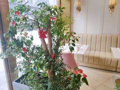 -张爱施法式西餐厅(汉街店)