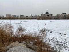 -莲花池公园