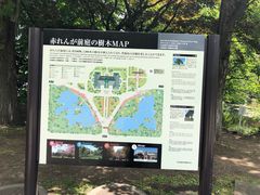 -北海道厅旧本厅舍(旧本庁舎)