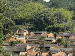 -杨家堂村