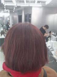 -东方麒麟·潘多拉SALON