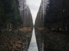 -东平国家森林公园