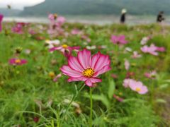 -木洞河街