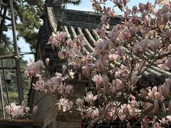 -潭柘寺景区