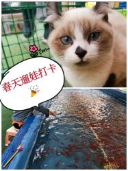 -萌宠亲子动物乐园(槐房万达店)