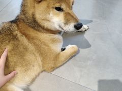 -NOTBAD 须时·咖啡馆