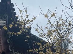 -宁波市保国寺古建筑博物馆