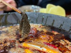 -星鸿社重庆老火锅(燃灯寺分店)