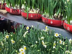 -天河体育中心