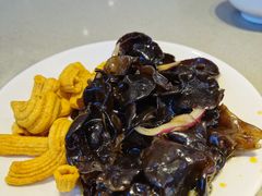 黑木耳-蝎王府羊蝎子(西直门店)