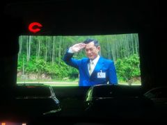 -枫花园汽车电影院(朝阳公园店)