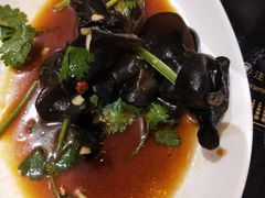 凉拌木耳-玉兰苑一等茶餐厅
