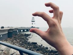 -野狸岛