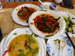 -煲来饱去冷水鱼