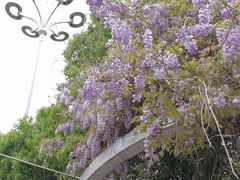 -玉山公园