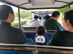 -深圳东部华侨城茵特拉根酒店