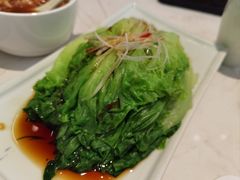 罗马生菜-船歌·鱼水饺青岛菜(国贸商城店)
