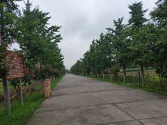 -汉景帝阳陵博物院