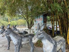-凤岗南门山森林公园