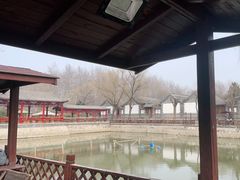 -尚庄度假村·庭台树下·户外烧烤·团建CS·轰趴营地(上庄水库店)