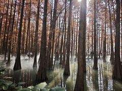 -星湖旅游景区七星岩