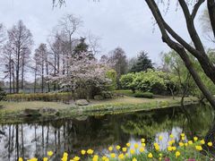 -上海滨江森林公园