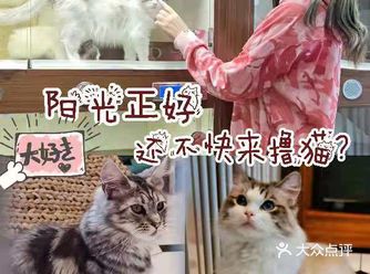 周末适合闺蜜/情侣约会的好去处!