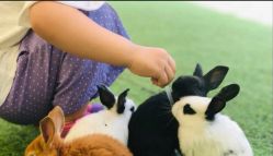 -萌宠亲子动物乐园(槐房万达店)