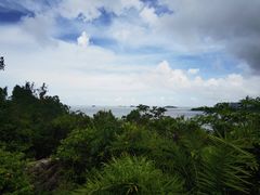 -野狸岛