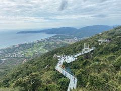 -亚龙湾热带天堂森林公园