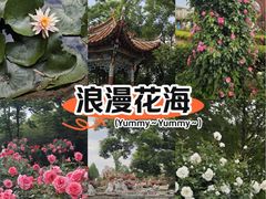 -庾园