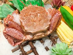 -萤初高端日料王(曲江银泰店)