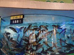 -千岛湖小鱼儿·淳安匠心农家菜