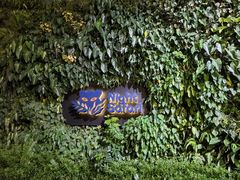 -夜间野生动物园
