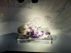 -甘肃地质博物馆