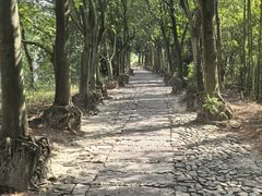 -皤滩古镇