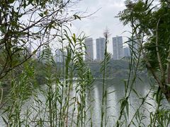 -重庆彩云湖湿地公园