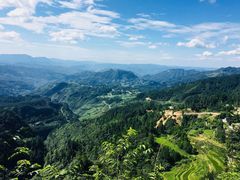 -梦幻奥陶纪景区