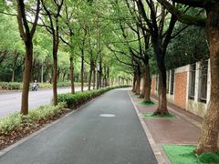 -美兰湖景区